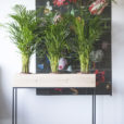 Fiorella plantenbak 120cm
